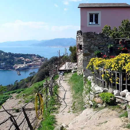 La Vie En Rose Flat Sestri Levante